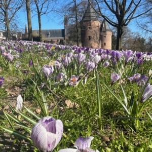 Bijna lente!