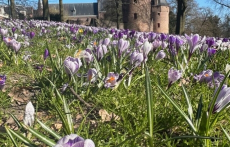Bijna lente!
